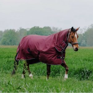 Manta invierno impermeable Combo