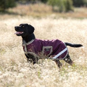 Manta perro impermeable