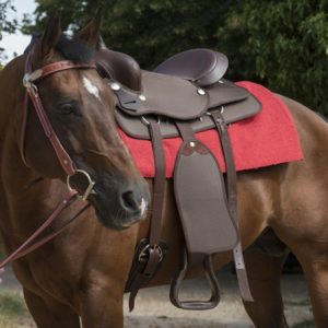 Mantilla western Navajo algodón