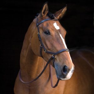 Cabezada Micklem Original Rambo