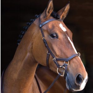 Cabezada Micklem Competiton