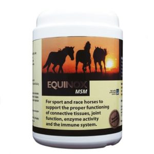 MSM caballos Equinox