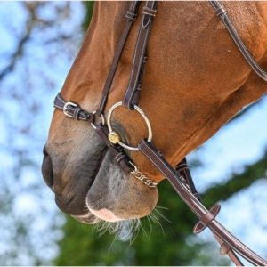 Muserola alemana con cadenilla