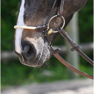 Muserola alemana cuerda Jump-In