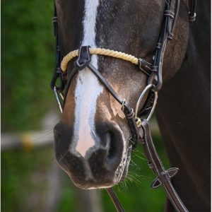 Muserola cuerda Jump-In