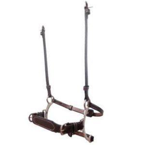 Muserola Hackamore Week