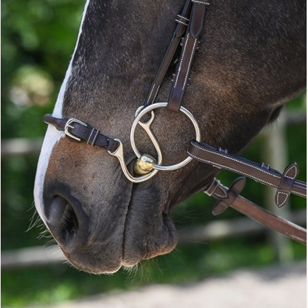 Muserola Kineton Week - Imagen 3