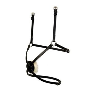 Muserola mejicana Stubben