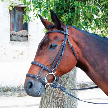 Muserola mixta salto - Imagen 5