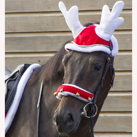 Orejeras poni Navidad - Imagen 3