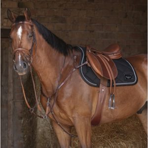 Pechopetral ingles con tijerillas