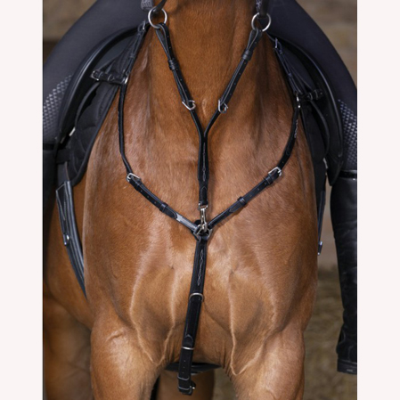 Pechopetral ingles con tijerillas - Imagen 4