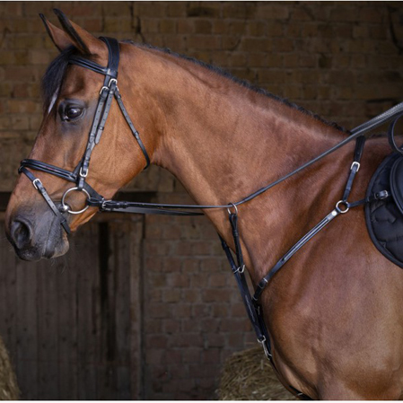 Pechopetral ingles con tijerillas - Imagen 3