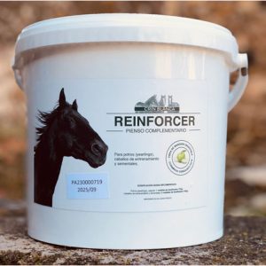 Pienso complementario caballos Reinforcer