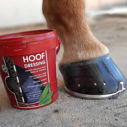 Pomada cascos Hoof Dressing - Imagen 3
