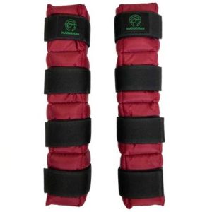 Protectores hielo caballos