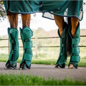 Protectores viaje caballos Signature