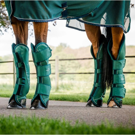 Protectores viaje caballos Signature - Imagen 2