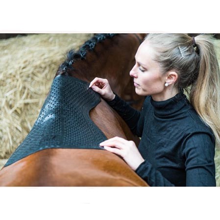 Salvadorso gel fino - Imagen 5