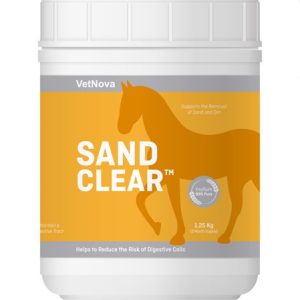 Sand Clear caballos