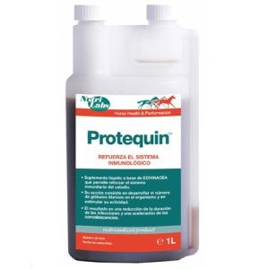 Sistema inmunológico caballos Protequin