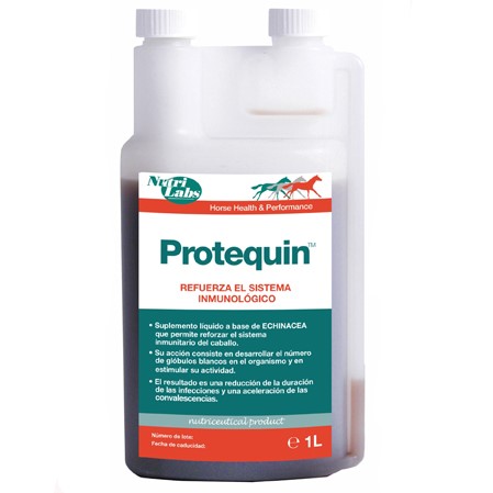 Sistema inmunológico caballos Protequin - Imagen 2