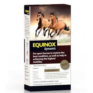Suplemento caballos Equinox Dynamic
