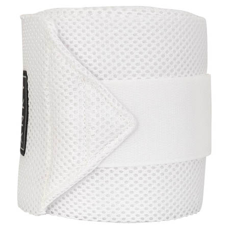 Vendas caballos Anky - Imagen 7