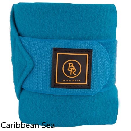 Vendas caballos polar - Imagen 8