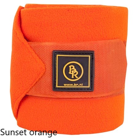 Vendas caballos polar - Imagen 4